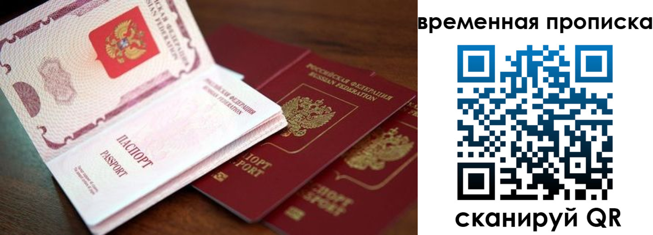 прописка гарантия в Карабаново